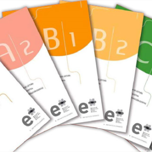 Spanish for the D.E.L.E Exam